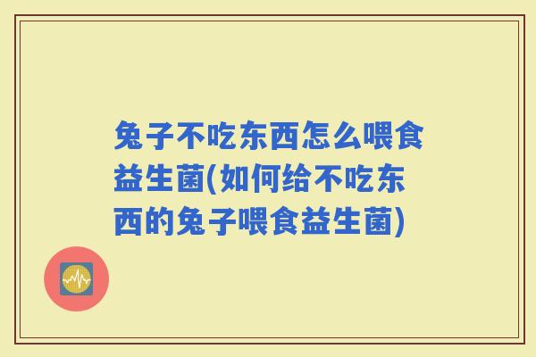 兔子不吃东西怎么喂食益生菌(如何给不吃东西的兔子喂食益生菌)