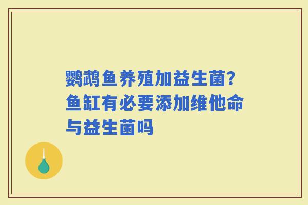 鹦鹉鱼养殖加益生菌？鱼缸有必要添加维他命与益生菌吗