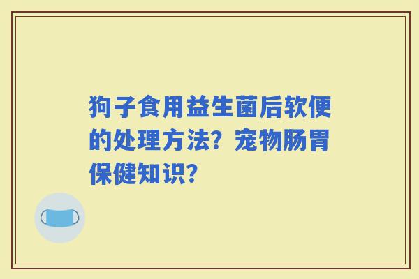 狗子食用益生菌后软便的处理方法？宠物肠胃保健知识？