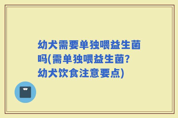 幼犬需要单独喂益生菌吗(需单独喂益生菌？幼犬饮食注意要点)