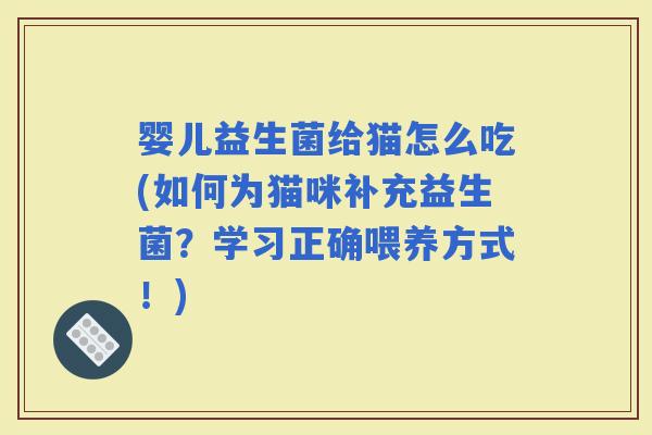 婴儿益生菌给猫怎么吃(如何为猫咪补充益生菌？学习正确喂养方式！)