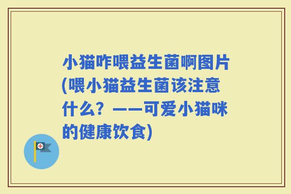 小猫咋喂益生菌啊图片(喂小猫益生菌该注意什么？——可爱小猫咪的健康饮食)