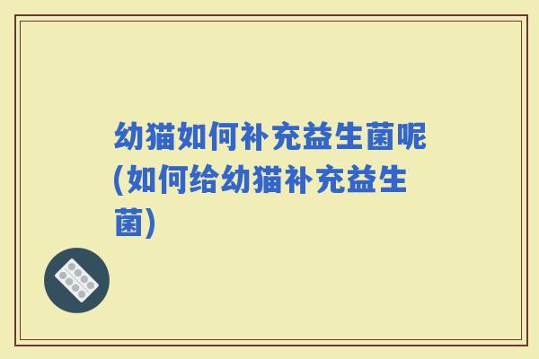 幼猫如何补充益生菌呢(如何给幼猫补充益生菌)