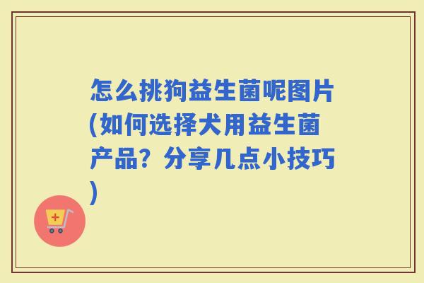 怎么挑狗益生菌呢图片(如何选择犬用益生菌产品？分享几点小技巧)