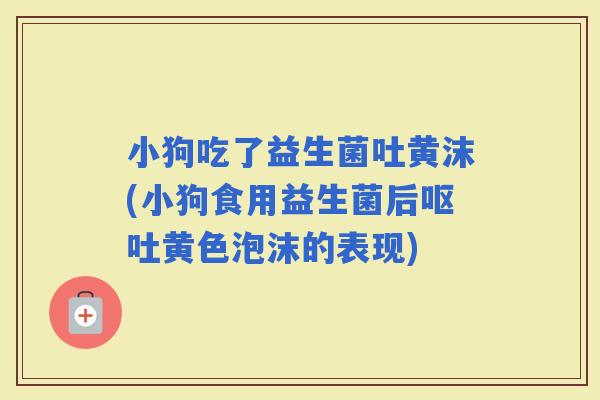 小狗吃了益生菌吐黄沫(小狗食用益生菌后黄色泡沫的表现)