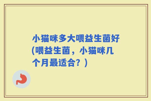 小猫咪多大喂益生菌好(喂益生菌，小猫咪几个月适合？)