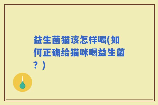 益生菌猫该怎样喝(如何正确给猫咪喝益生菌？)