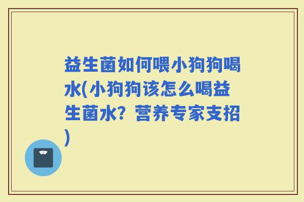 益生菌如何喂小狗狗喝水(小狗狗该怎么喝益生菌水？营养专家支招)