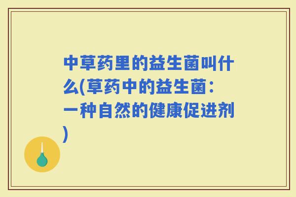 中草药里的益生菌叫什么(草药中的益生菌：一种自然的健康促进剂)