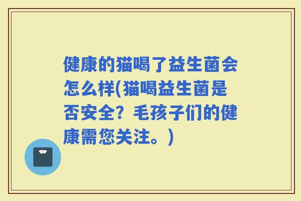 健康的猫喝了益生菌会怎么样(猫喝益生菌是否安全？毛孩子们的健康需您关注。)