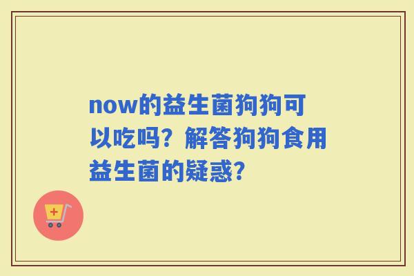 now的益生菌狗狗可以吃吗？解答狗狗食用益生菌的疑惑？