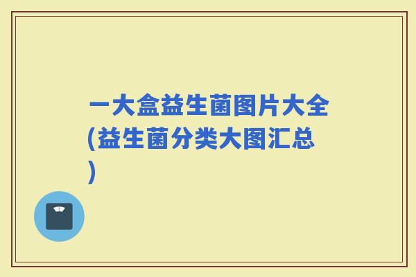 一大盒益生菌图片大全(益生菌分类大图汇总)