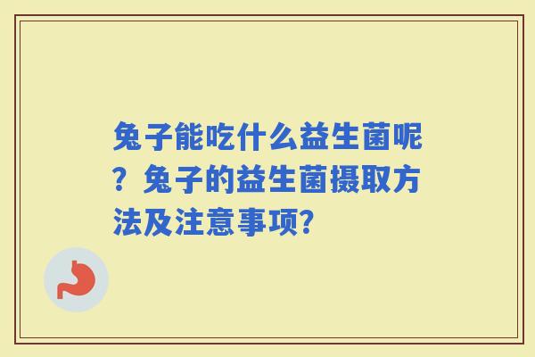 兔子能吃什么益生菌呢？兔子的益生菌摄取方法及注意事项？