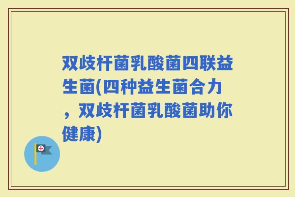 双歧杆菌乳酸菌四联益生菌(四种益生菌合力，双歧杆菌乳酸菌助你健康)