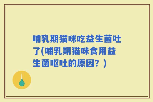 哺乳期猫咪吃益生菌吐了(哺乳期猫咪食用益生菌的原因？)