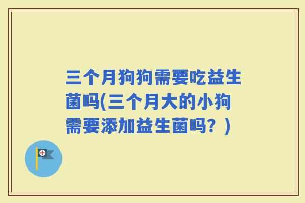 三个月狗狗需要吃益生菌吗(三个月大的小狗需要添加益生菌吗？)