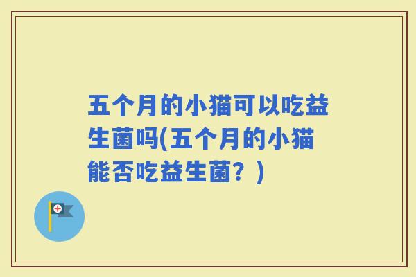 五个月的小猫可以吃益生菌吗(五个月的小猫能否吃益生菌？)