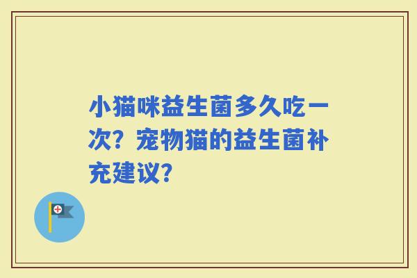 小猫咪益生菌多久吃一次？宠物猫的益生菌补充建议？