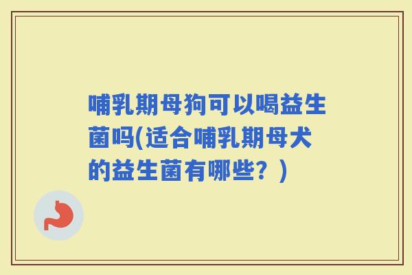 哺乳期母狗可以喝益生菌吗(适合哺乳期母犬的益生菌有哪些？)