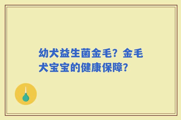 幼犬益生菌金毛？金毛犬宝宝的健康保障？