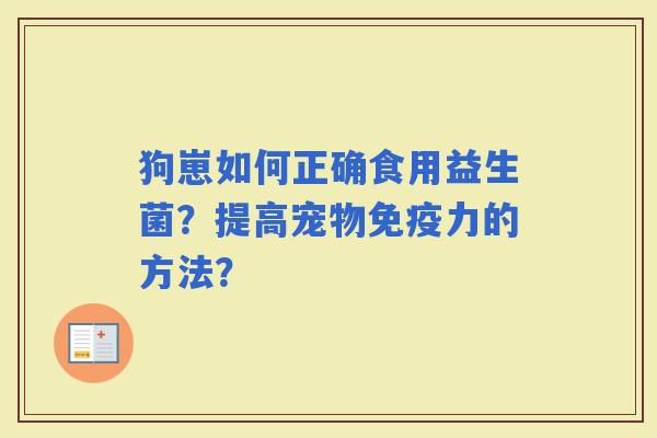 狗崽如何正确食用益生菌？提高宠物力的方法？
