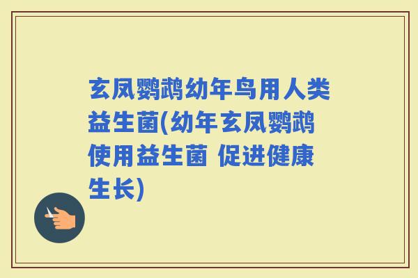 玄凤鹦鹉幼年鸟用人类益生菌(幼年玄凤鹦鹉使用益生菌 促进健康生长)