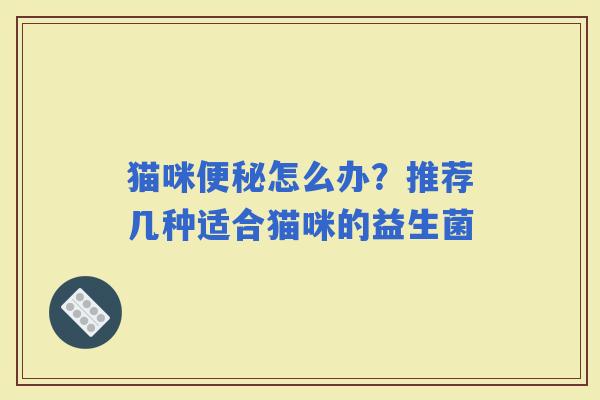 猫咪怎么办？推荐几种适合猫咪的益生菌