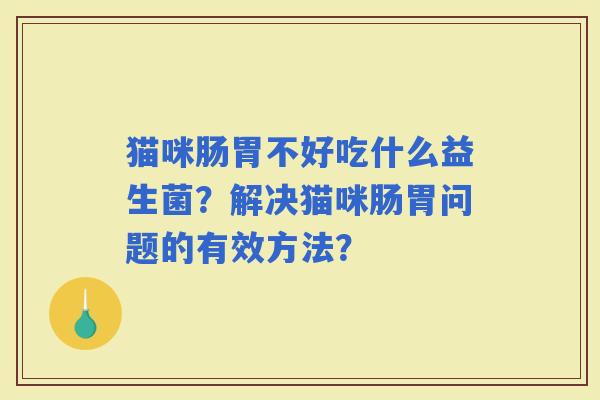 猫咪肠胃不好吃什么益生菌？解决猫咪肠胃问题的有效方法？
