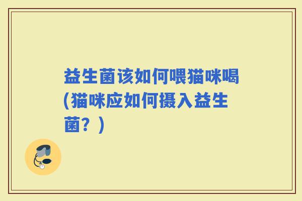 益生菌该如何喂猫咪喝(猫咪应如何摄入益生菌？)