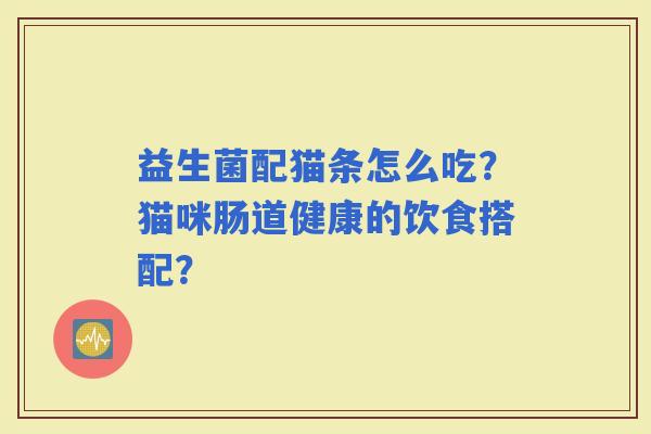 益生菌配猫条怎么吃？猫咪肠道健康的饮食搭配？