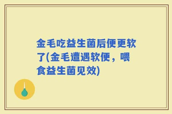金毛吃益生菌后便更软了(金毛遭遇软便，喂食益生菌见效)