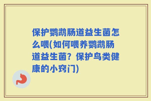 保护鹦鹉肠道益生菌怎么喂(如何喂养鹦鹉肠道益生菌？保护鸟类健康的小窍门)