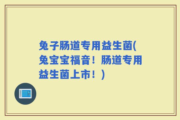 兔子肠道专用益生菌(兔宝宝福音！肠道专用益生菌上市！)