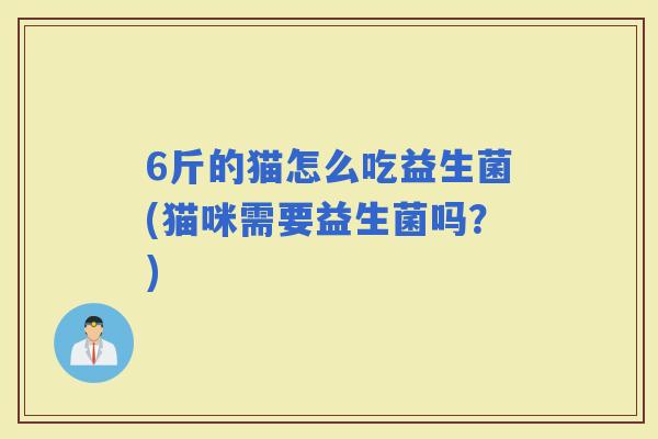 6斤的猫怎么吃益生菌(猫咪需要益生菌吗？)