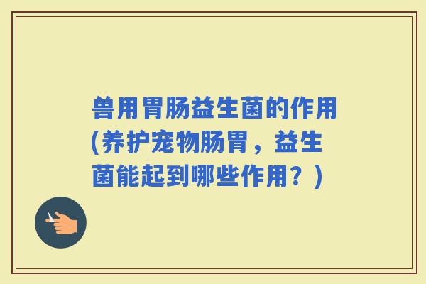 兽用益生菌的作用(养护宠物肠胃，益生菌能起到哪些作用？)