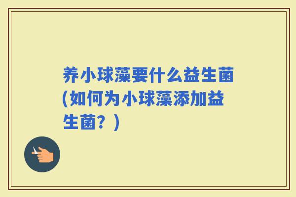 养小球藻要什么益生菌(如何为小球藻添加益生菌？)