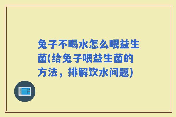 兔子不喝水怎么喂益生菌(给兔子喂益生菌的方法，排解饮水问题)