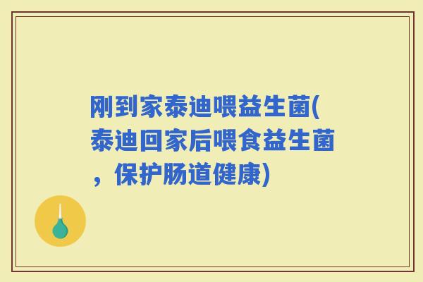 刚到家泰迪喂益生菌(泰迪回家后喂食益生菌，保护肠道健康)