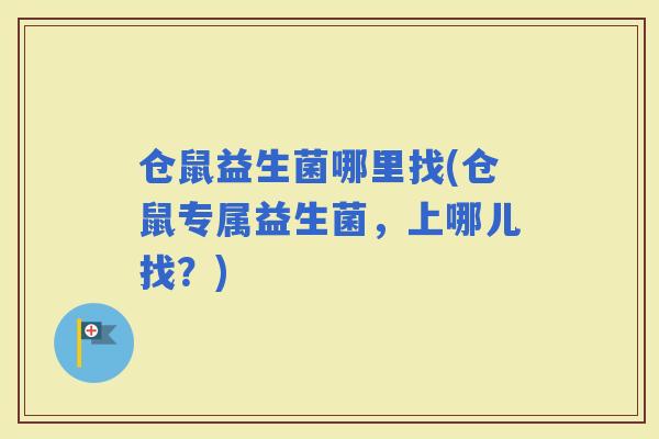 仓鼠益生菌哪里找(仓鼠专属益生菌，上哪儿找？)