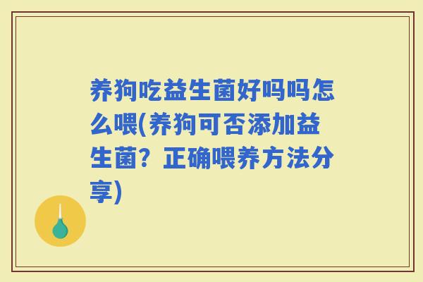 养狗吃益生菌好吗吗怎么喂(养狗可否添加益生菌？正确喂养方法分享)