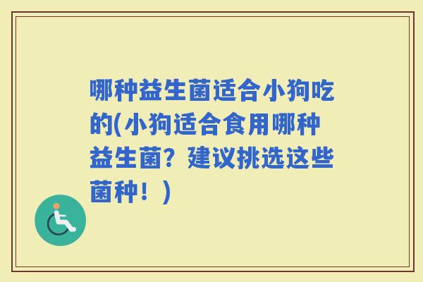 哪种益生菌适合小狗吃的(小狗适合食用哪种益生菌？建议挑选这些菌种！)