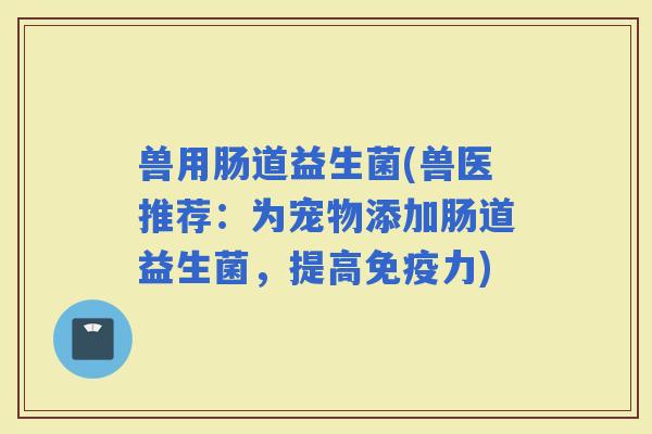 兽用肠道益生菌(兽医推荐：为宠物添加肠道益生菌，提高力)