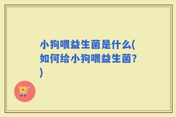 小狗喂益生菌是什么(如何给小狗喂益生菌？)