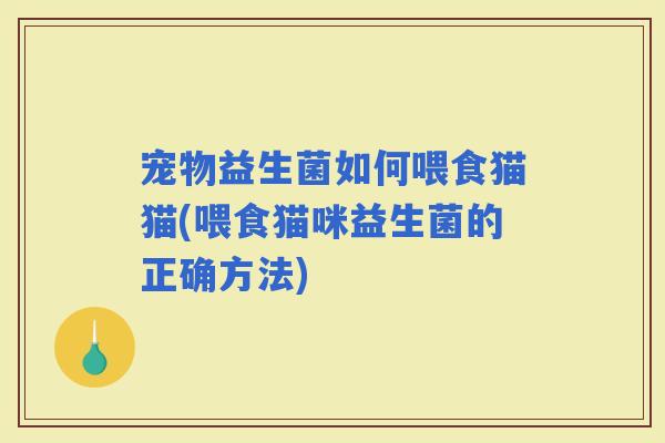 宠物益生菌如何喂食猫猫(喂食猫咪益生菌的正确方法)