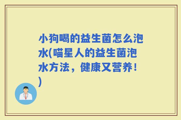 小狗喝的益生菌怎么泡水(喵星人的益生菌泡水方法，健康又营养！)
