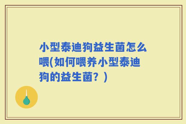小型泰迪狗益生菌怎么喂(如何喂养小型泰迪狗的益生菌？)