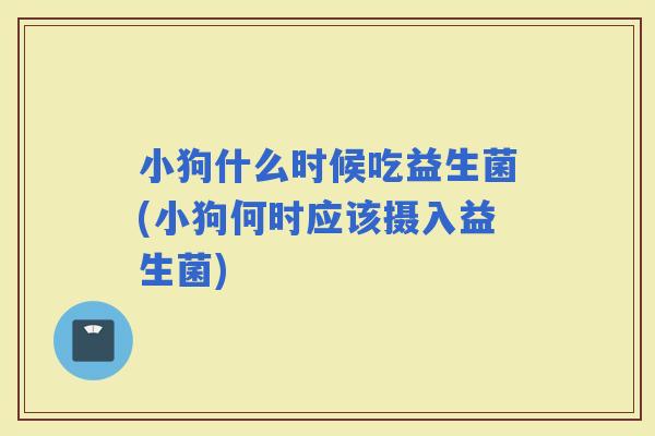 小狗什么时候吃益生菌(小狗何时应该摄入益生菌)