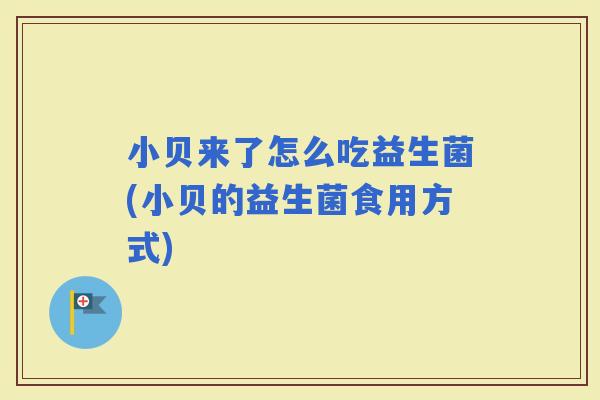 小贝来了怎么吃益生菌(小贝的益生菌食用方式)