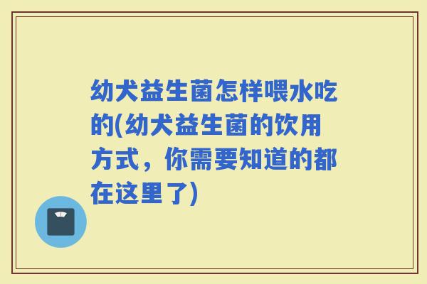 幼犬益生菌怎样喂水吃的(幼犬益生菌的饮用方式，你需要知道的都在这里了)