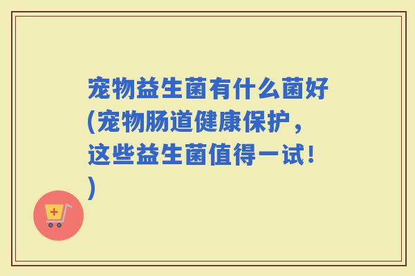 宠物益生菌有什么菌好(宠物肠道健康保护，这些益生菌值得一试！)